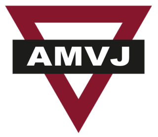 https://amvj-basketball.nl/wp-content/uploads/2025/09/amvj-hockey-320x277.png